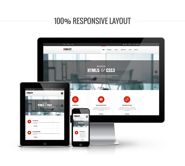 HTML5 Responsive Website Advance Package