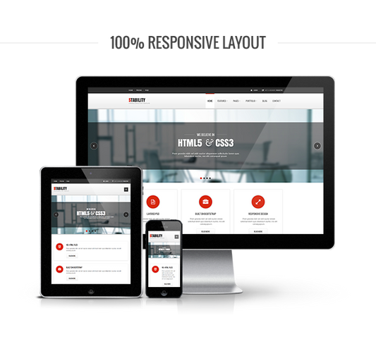 HTML5 Responsive Website Advance Package